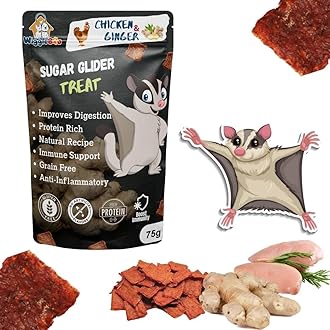 Chicken & Ginger Suger Glider Treat | Protein Rich | Anti-Inflammatory | Crunchy Healthy Snacks | 75g