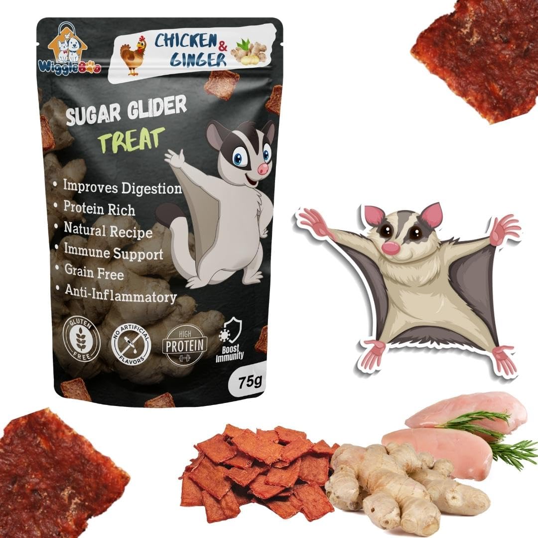 WiggleBoo Chicken & Ginger Suger Glider Treat | Protein Rich | Anti-Inflammatory | Crunchy Healthy Snacks | 75g