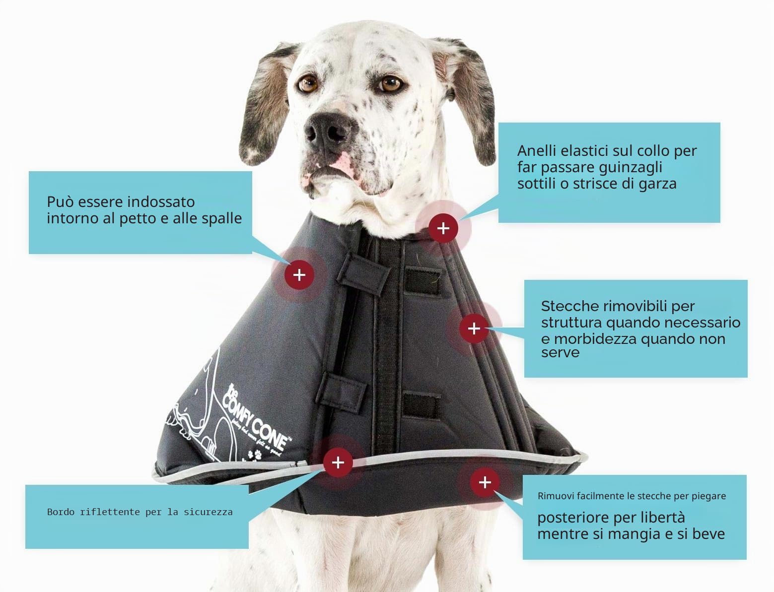 All Four Paws, The Comfy Cone, collare a cono per convalescenza, Nero, Extra Large