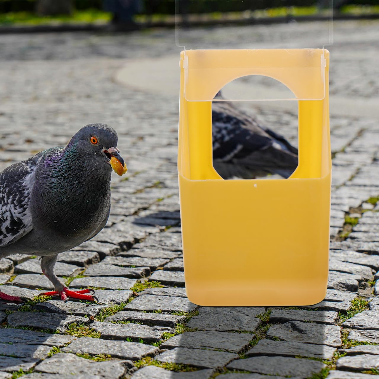 Besportble Alimentador Colgante De PláStico para Palomas 6 Piezas Comedero para PáJaros PequeñOs Jaula FáCil De Instalar Y Limpiar para Aves De Corral