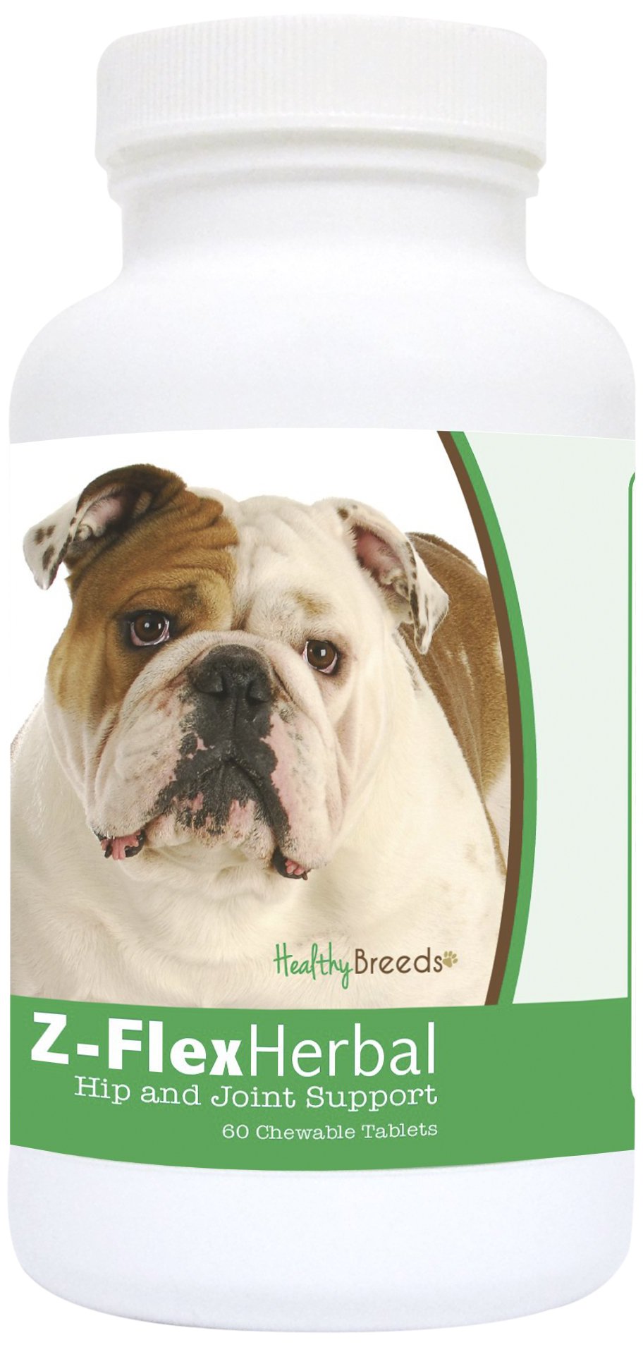 golden retriever cross flat coat