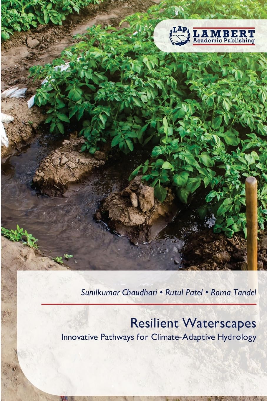 Resilient Waterscapes: Innovative Pathways for Climate-Adaptive Hydrology