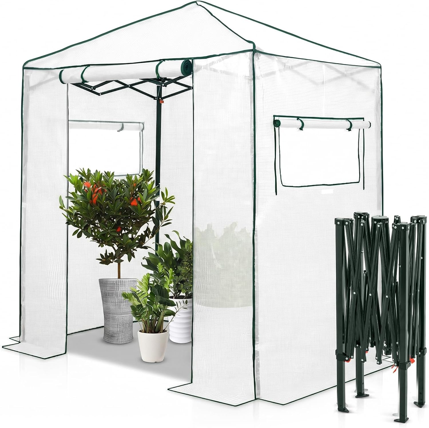 EAGLE PEAK 6x4 Easy Setup Small Pop Up Greenhouse, Clear/White