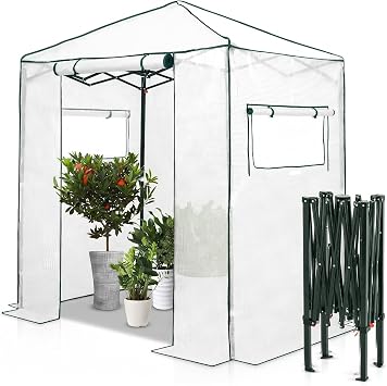 EAGLE PEAK 6x4 Easy Setup Small Pop Up Greenhouse, Clear/White