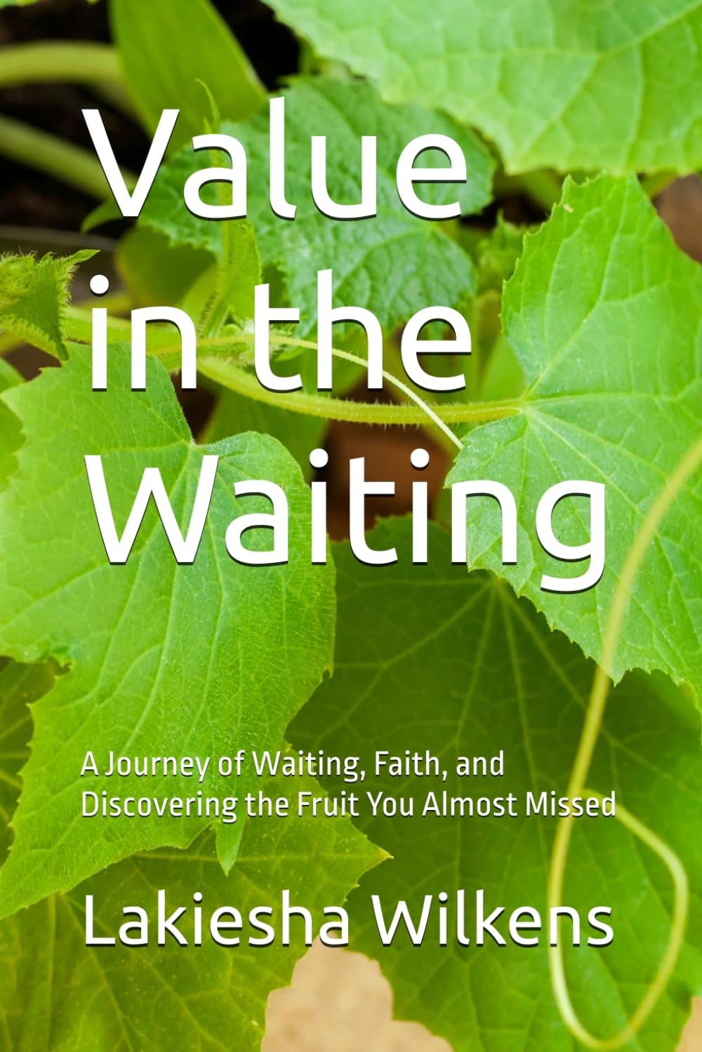 Value in the Waiting: A Journey of Waiting, Faith, and Discovering the Fruit You Almost Missed (Porch Plant Chronicles)