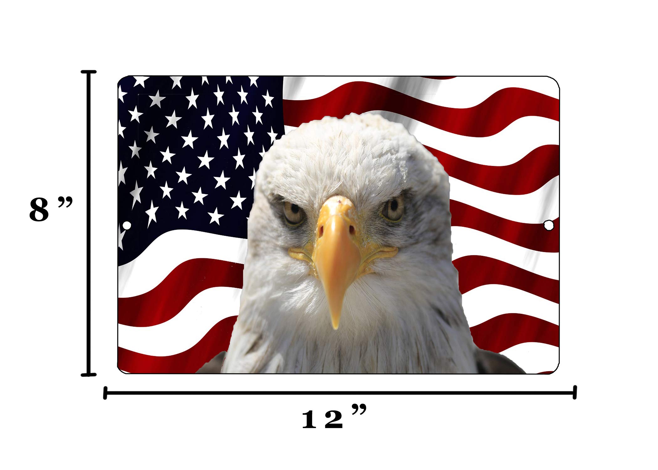 Eagle American Flag Rive