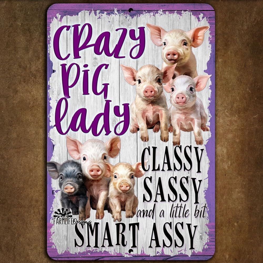 Crazy Pig Lady sign classy sassy smart assy metal tin barn barnyard wall art home decor