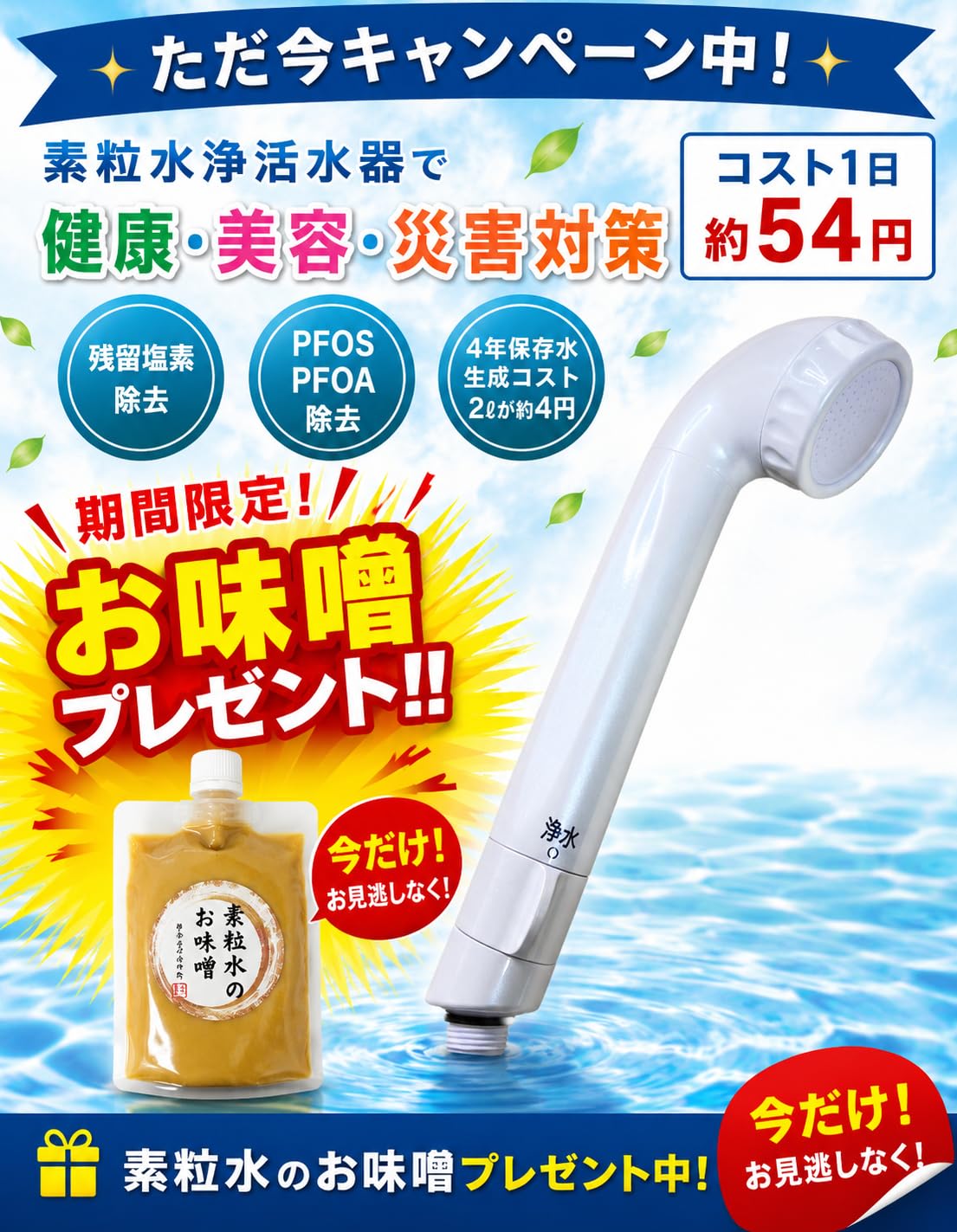 Amazon | 素粒水 セラピーシャワー 【素粒水正規代理店 ベスト