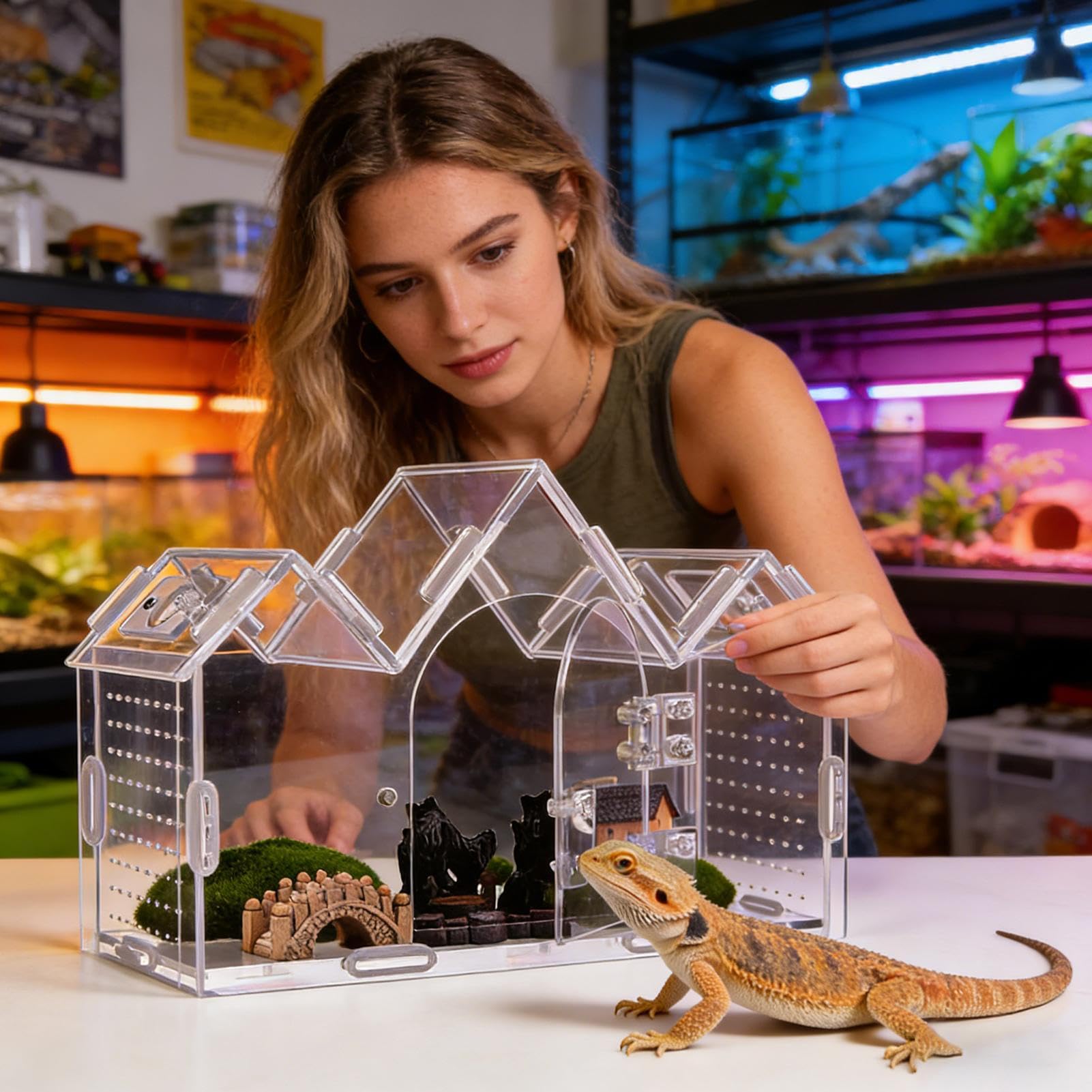 View 4