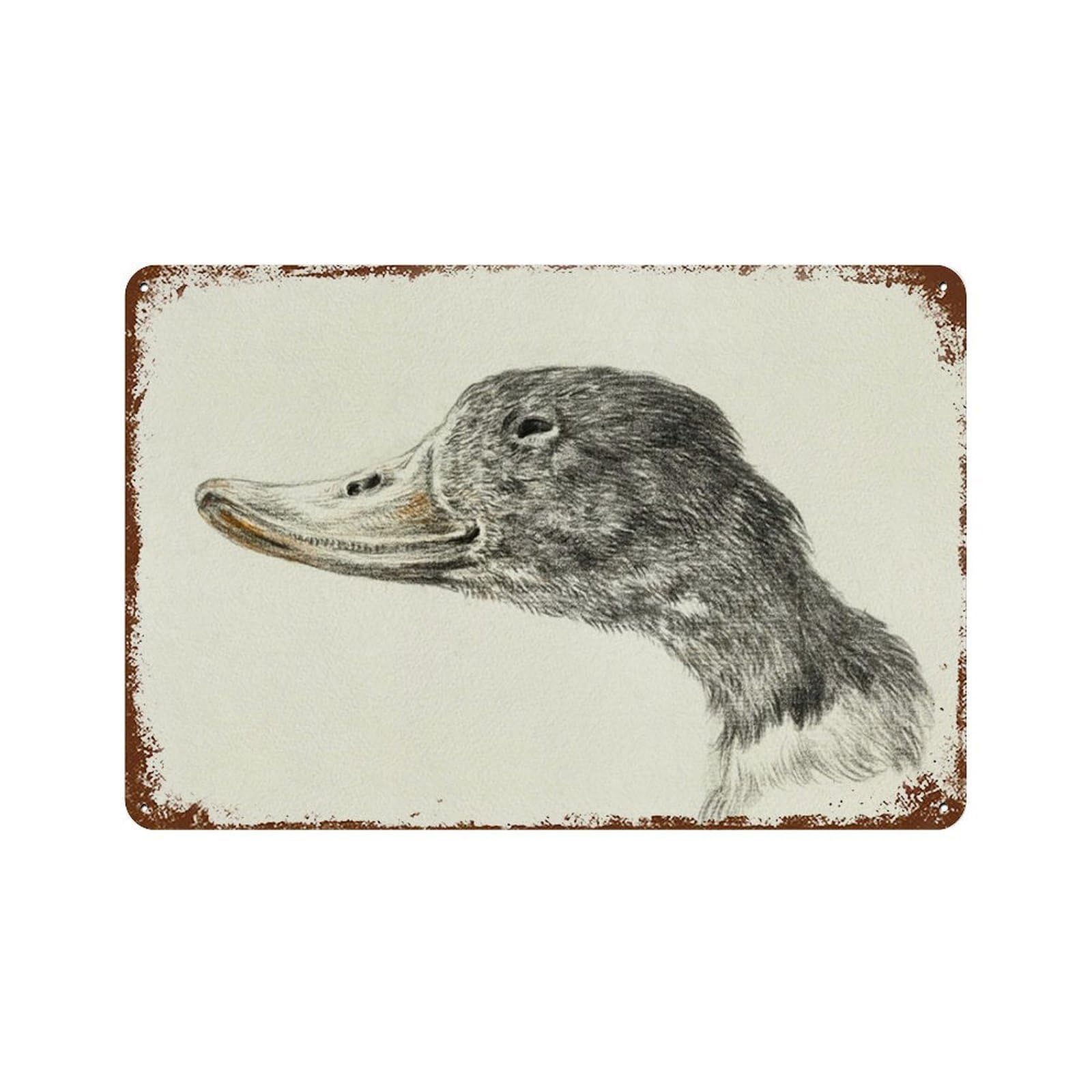 xiaoxiaoshen Duck Sketch, Vintage Nursery, Drawing Room S, Farmhouse Wall Decor Art Metal Tin Poster Modern Home Decor Art Home Bar Shop Decorations Vintage Sign 20x30cm