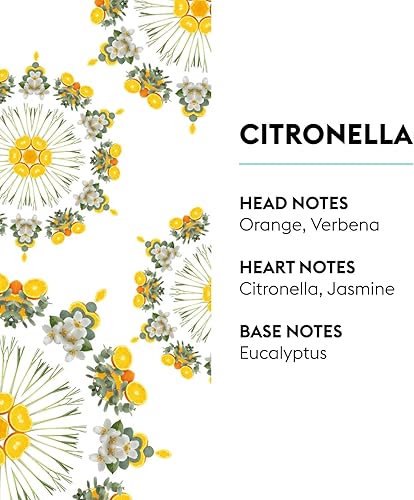 Miniatura 58 de MAISON BERGER Repuesto de fragancia Lampe Berger para difusor de aceite de fragancia del hogar - 16.9 onzas líquidas / 500 mililitros Frescura