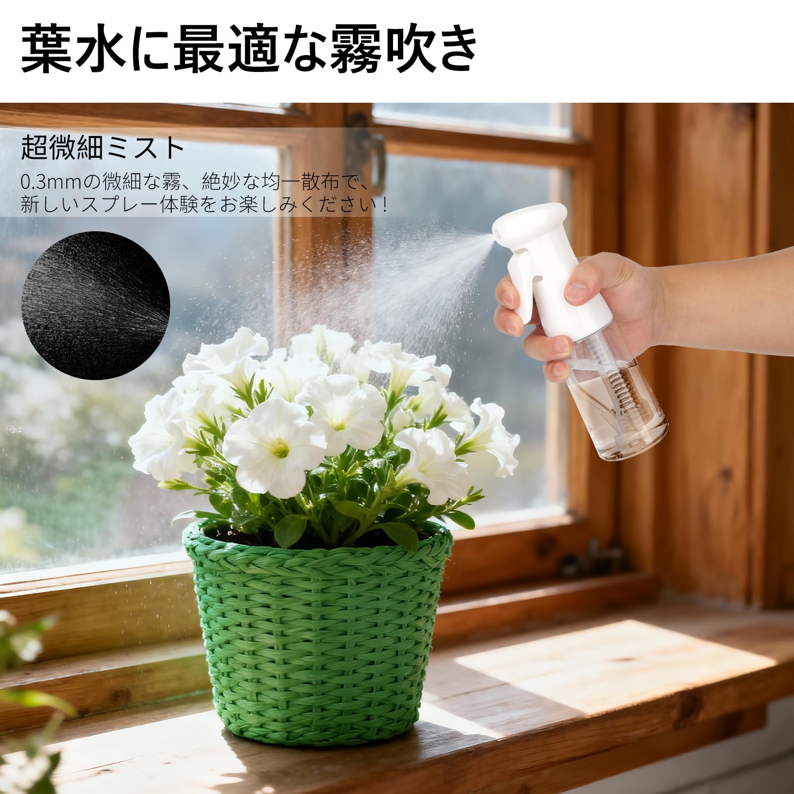 Amazon.co.jp: Segbeauty: 霧吹き