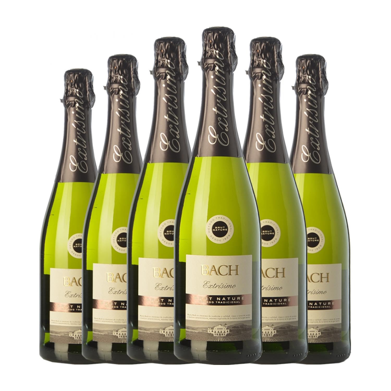 Bach Extrísimo Brut Nature Cava Joven 75 cl Espumoso blanco (Caja de 6 Botellas de 75 cl)