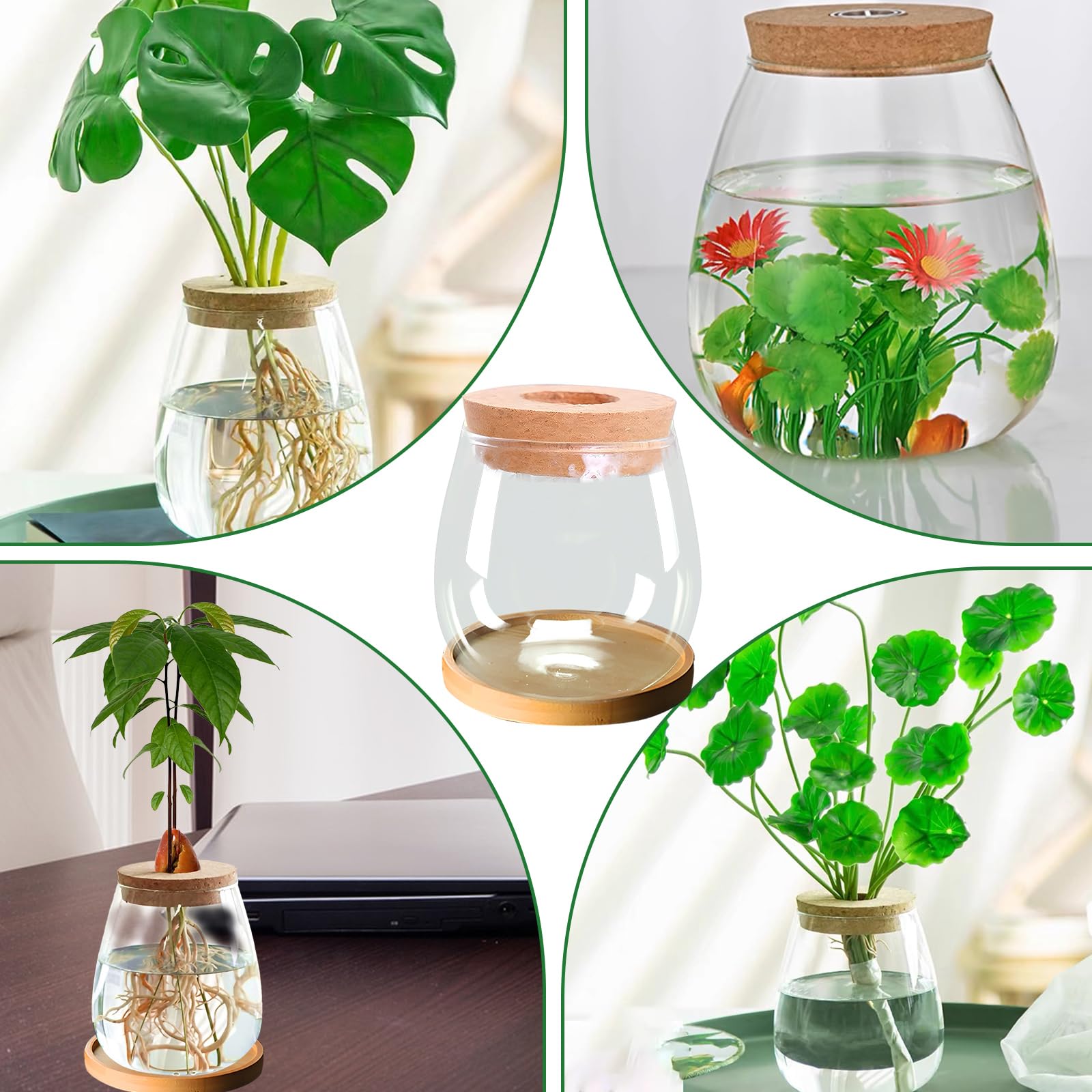 Lot de 2 terrariums de propagation de plantes en verre pour plantes de bureau (C)