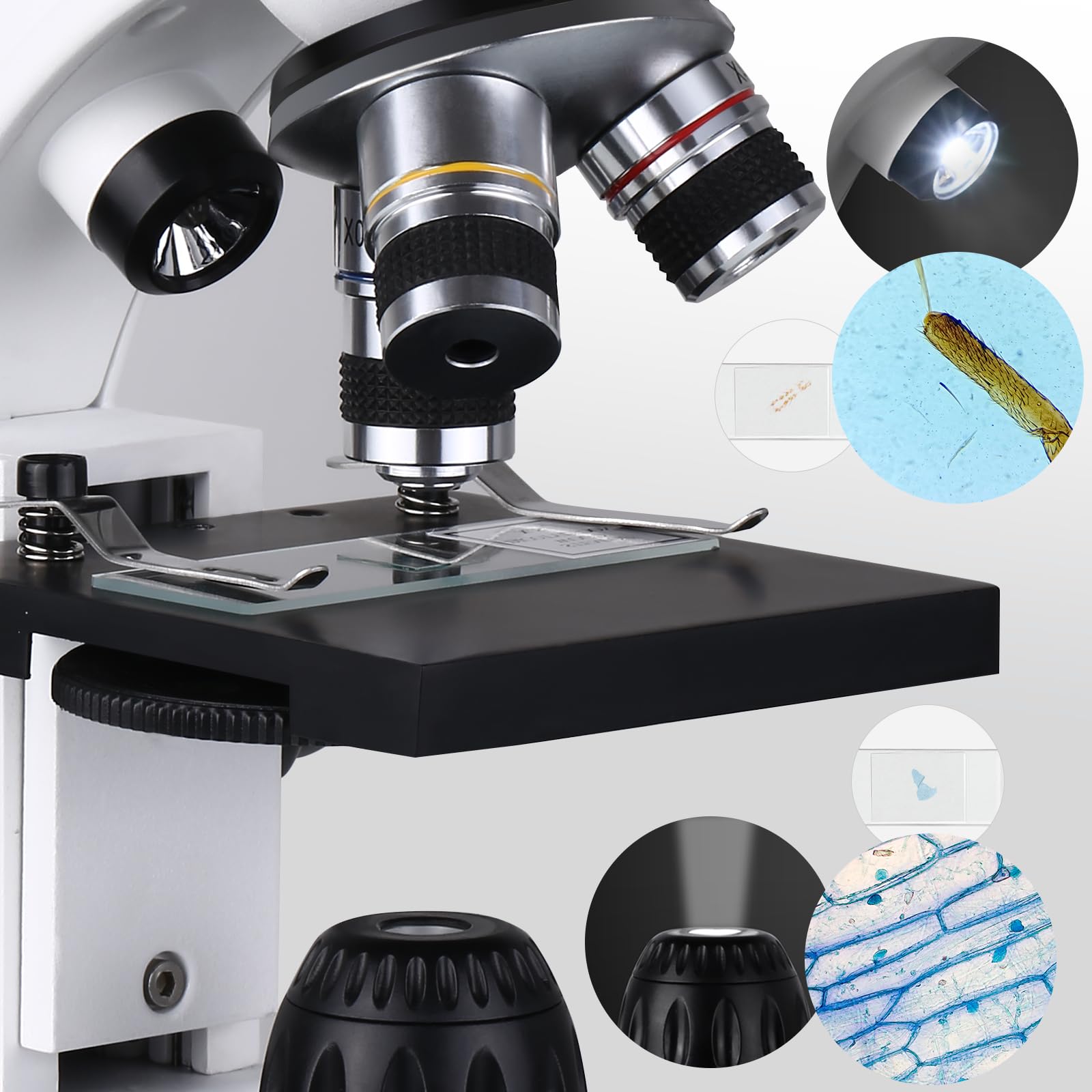 Microscopio Profesional para Adultos con Adaptador de Teléfono, Juego de Portaobjetos de Microscopio para Laboratorio Escolar, Hogar, Investigación Científica Biológica