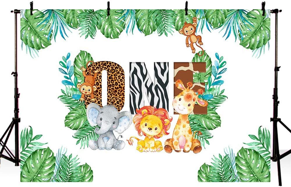 foto di sfondo foresta