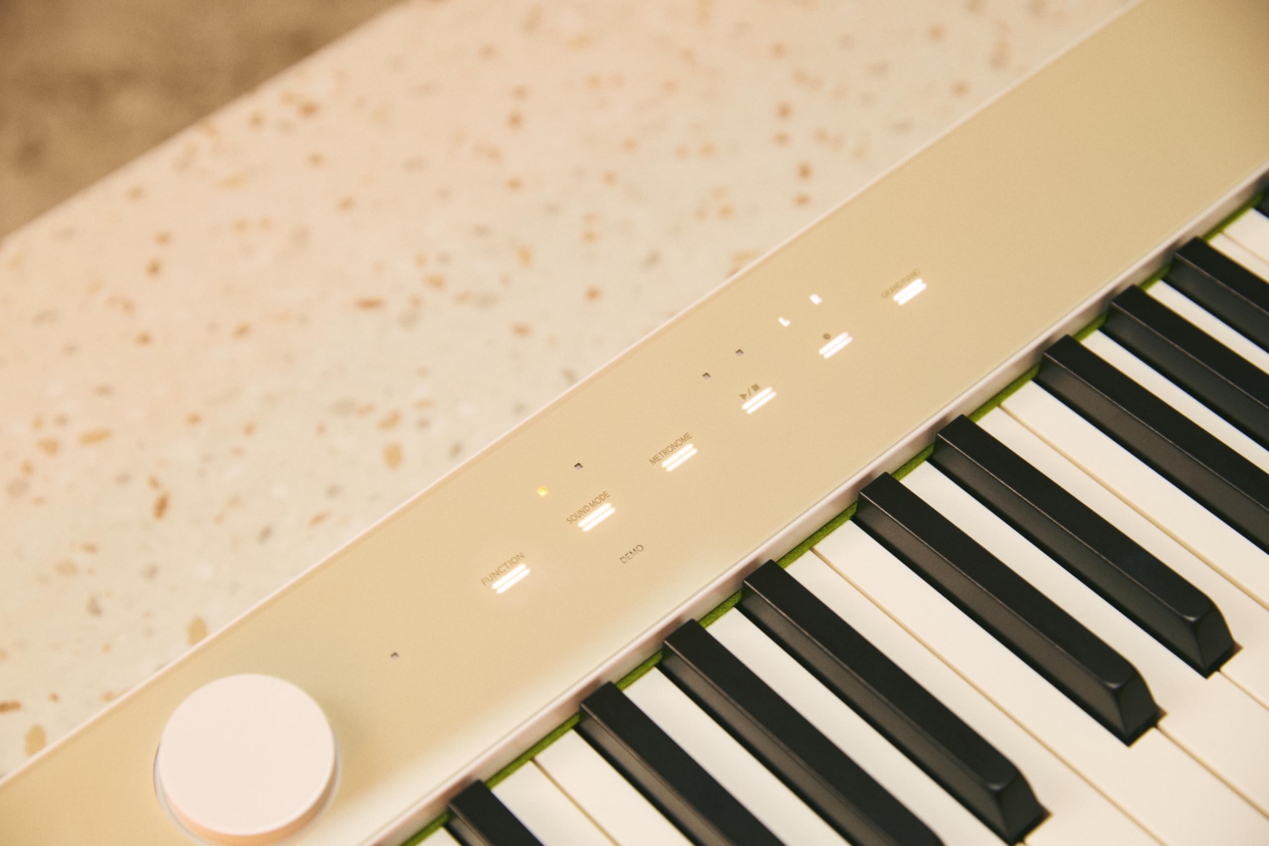 Casio Privia PX-S1100 MB inkl. SP-34 Pedal - Stage Piano