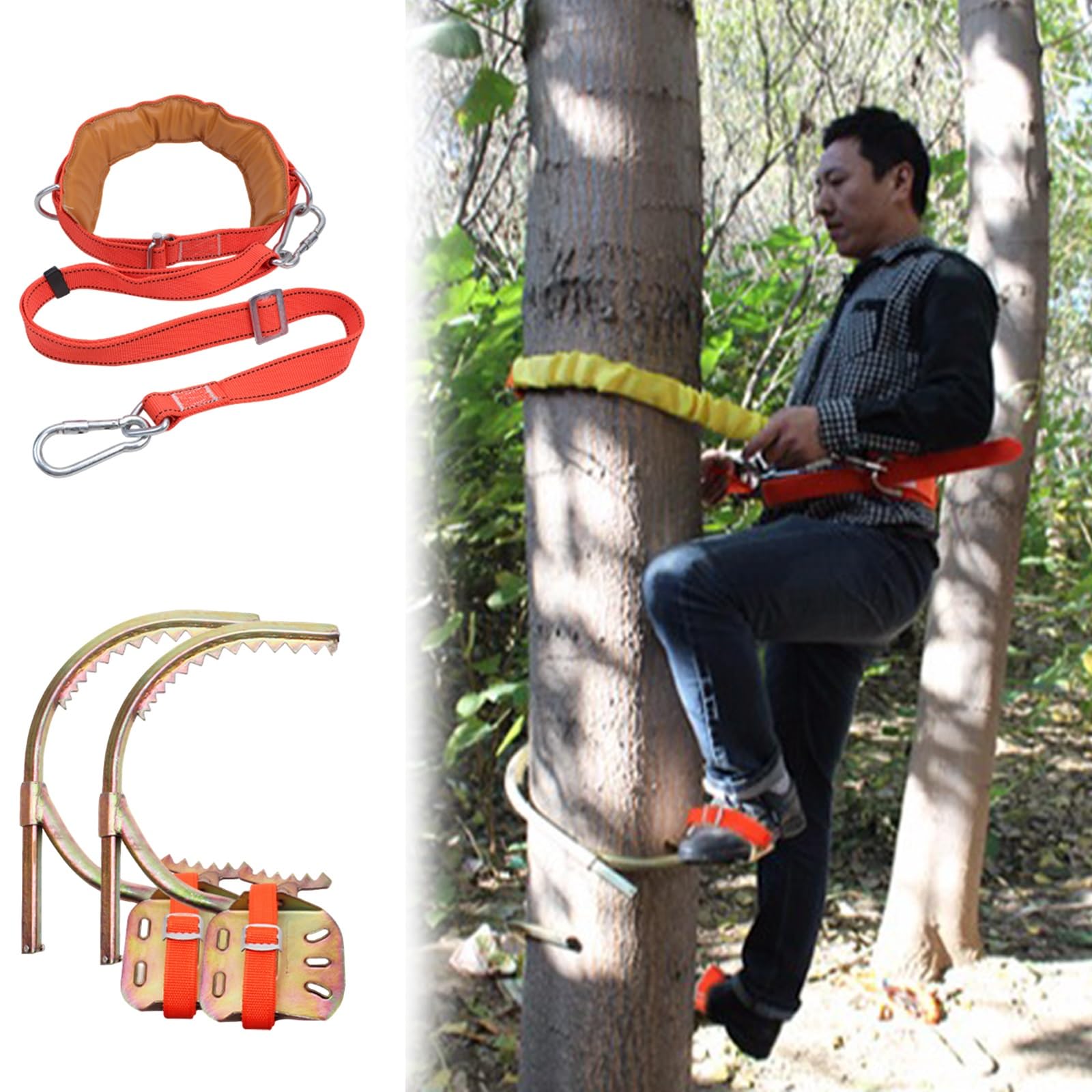 Griffe elagage Pointes Et Harnais d'escalade Portables, Équipement Professionnel pour Grimpeurs sur Poteaux en Bois, Boucle De Pied pour Cueillir des Fruits