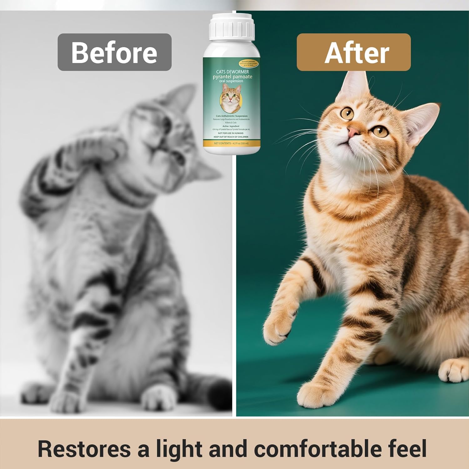Cat Dewormer Liquid – Broad-Spectrum Pyrantel Pamoate Dewormer for Cats, Effective Against Tapeworms, Roundworms & Hookworms, 120 mL (4.2 fl oz)