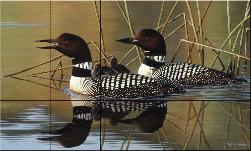 Ceramic Backsplash Tile Mural Waterfowl Bird Kitchen/Bathroom - Loon Family - Cynthie Fisher