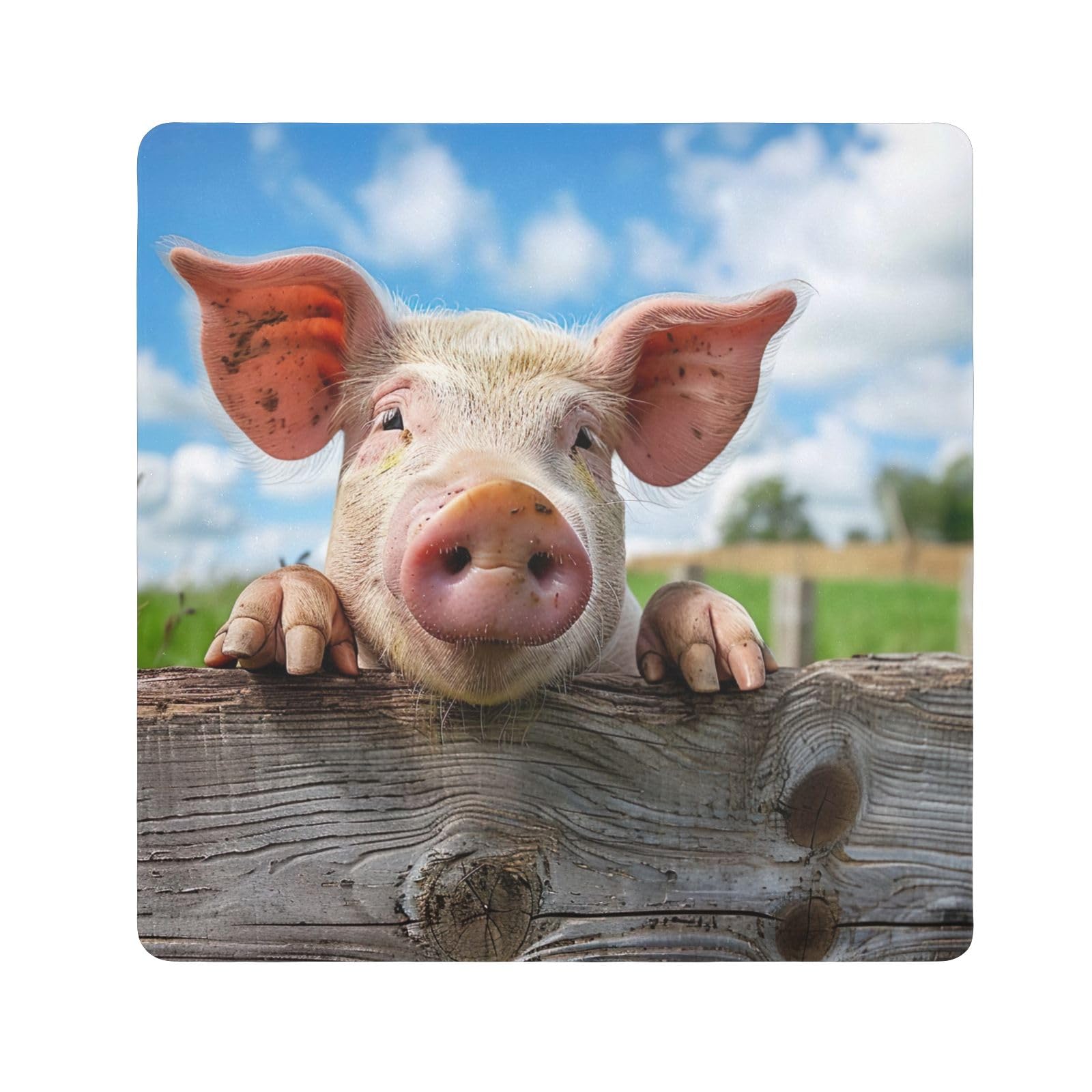 ODAWA Camera Protective Wrap Funny Pig Self-adhesive Cloth 21.7