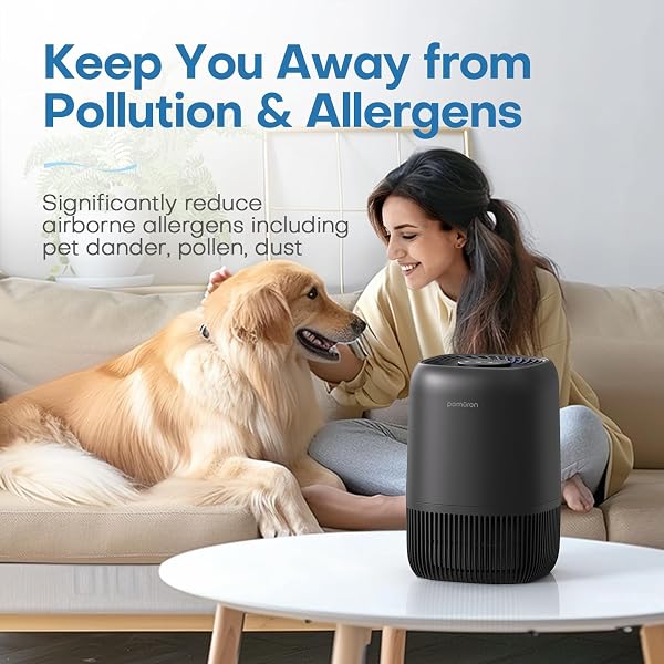 A view of the compact POMORON MJ012H air purifier in black, highlighting its sleek design for small spaces.