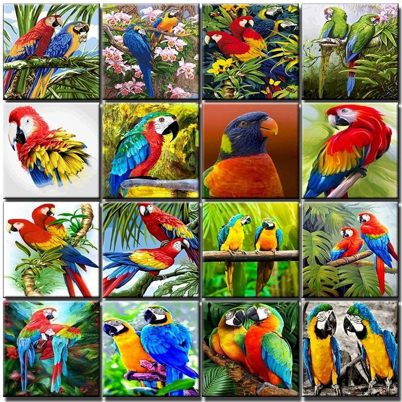 Amazon.com: LIUJUNH DIY Pictures by Number Animal Paintings