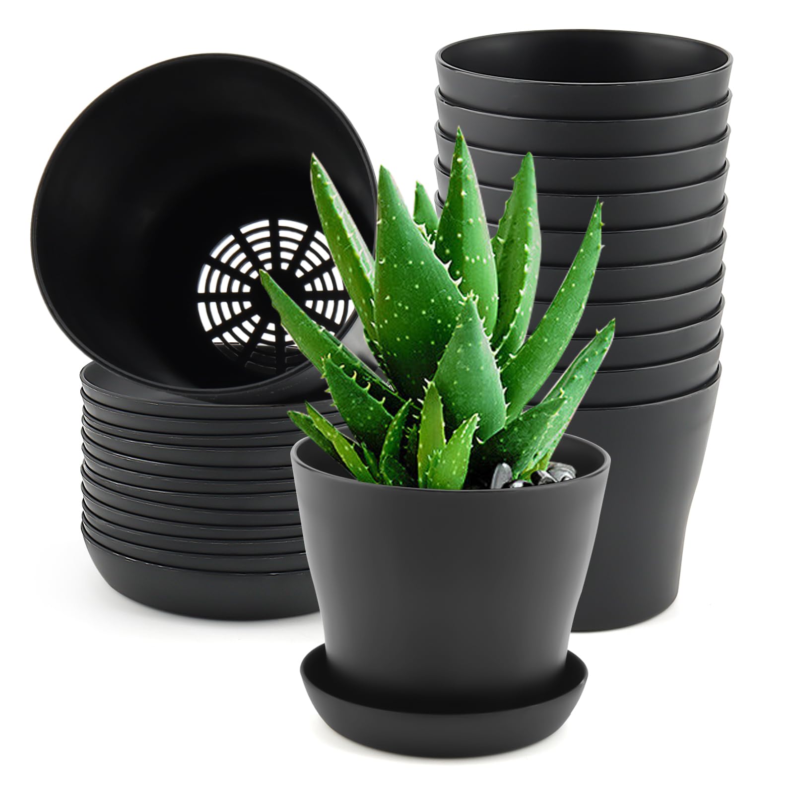 Confezione Da 12 Vasi Per Piante In Plastica Nera Con Sottovaso – 10 Cm – Per Succulente E Semi - 3