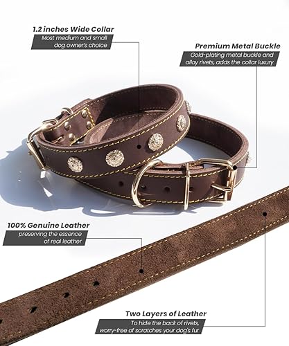 Miniatura 2 de Collar de perro para perros medianos collar de perro de cuero genuino hecho a mano, impresionante y cómodo, hebilla dorada y remaches, estilo de