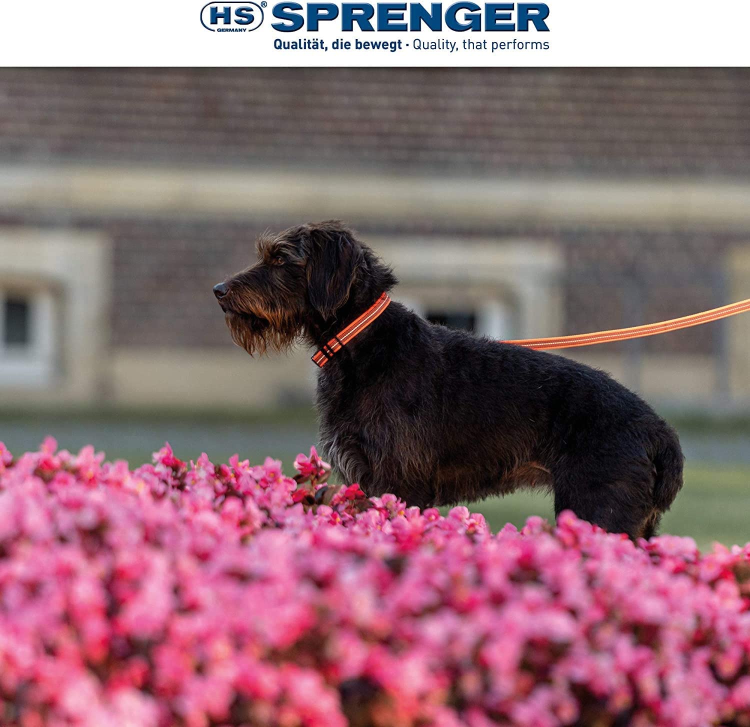 Herm Sprenger Rubberen Nylon Tracking Hondenlood Neon Roze Reflecterend (1m