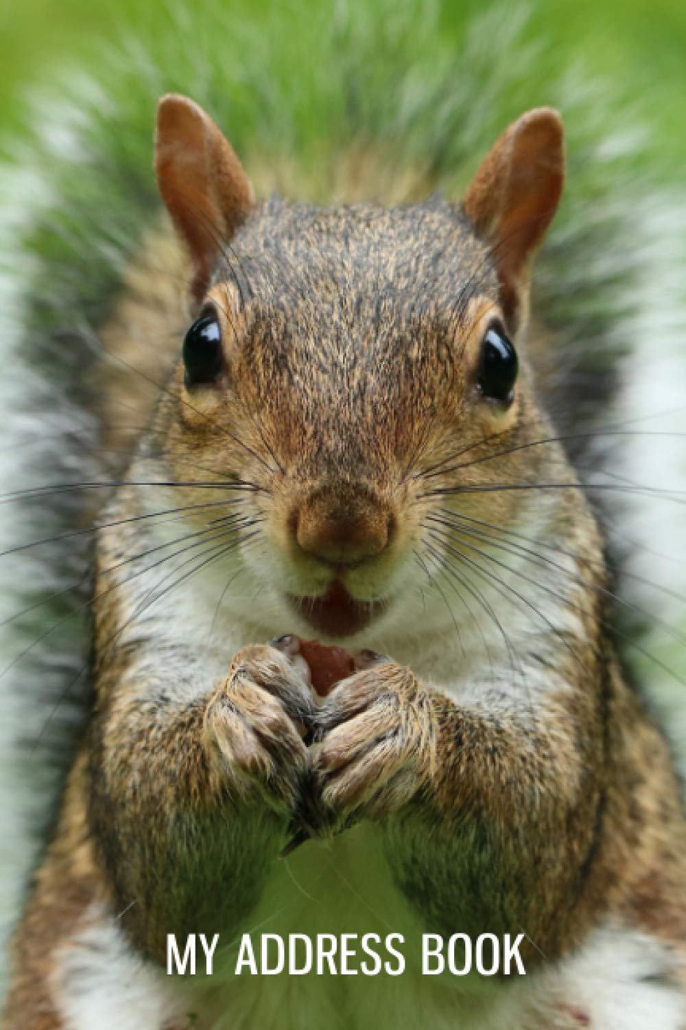 My Address Book: 2020 Squirrel Lovers, Records Address, Email & Important Notes | Address Notebook with Tabs for Seniors - Women size6x9