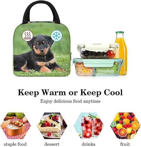 Miniatura 5 de suojapuku Bolsa de almuerzo para mujeres y hombres, lonchera a prueba de fugas, foto de cachorro rottweiler, lonchera portátil reutilizable para