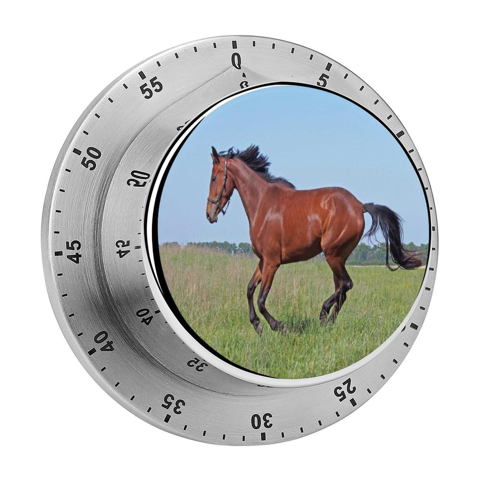 Kitchen Timer Grassland Animal Horse Mechanical Magnetic Stainless Steel For Cooking Fitness Baking Learning Kitchen 8cm