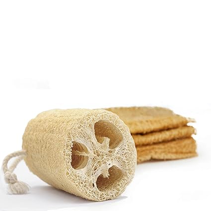 Natural Loofah Dish Sponge (4 Pcs) Scrubber for Kitchen Body Scrubber -100% Biodegradable Compostable Dishwashing Scouring Pad Zero Waste Plastic Free Eco Friendly Sustainable Silicone Unbleached