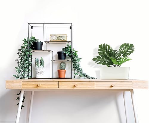 Miniatura 5 de Caja de ventana para plantas con platillos 5 juegos de macetas de plástico con múltiples agujeros de drenaje y bandejas, macetas de flores para el