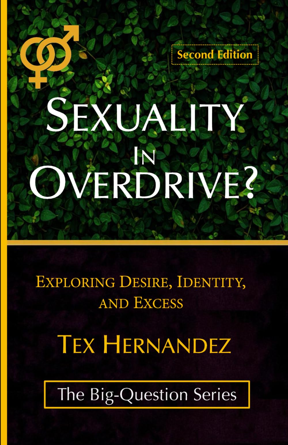 Sexuality in Overdrive?: Exploring Desire, Identity, and Excess: 3 (The Big-Question)