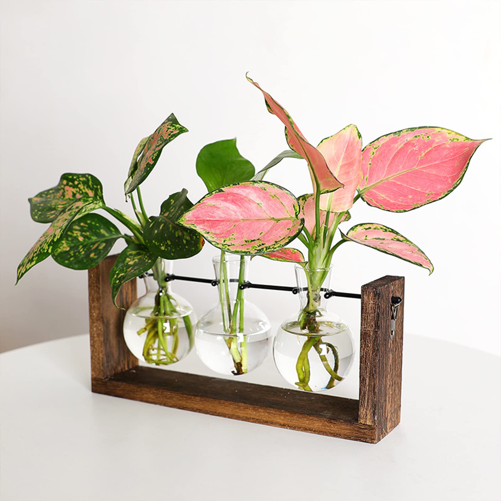 Amazon.co.jp: 壁掛け水耕栽培花瓶 ポトス植物 木製スタンド花瓶
