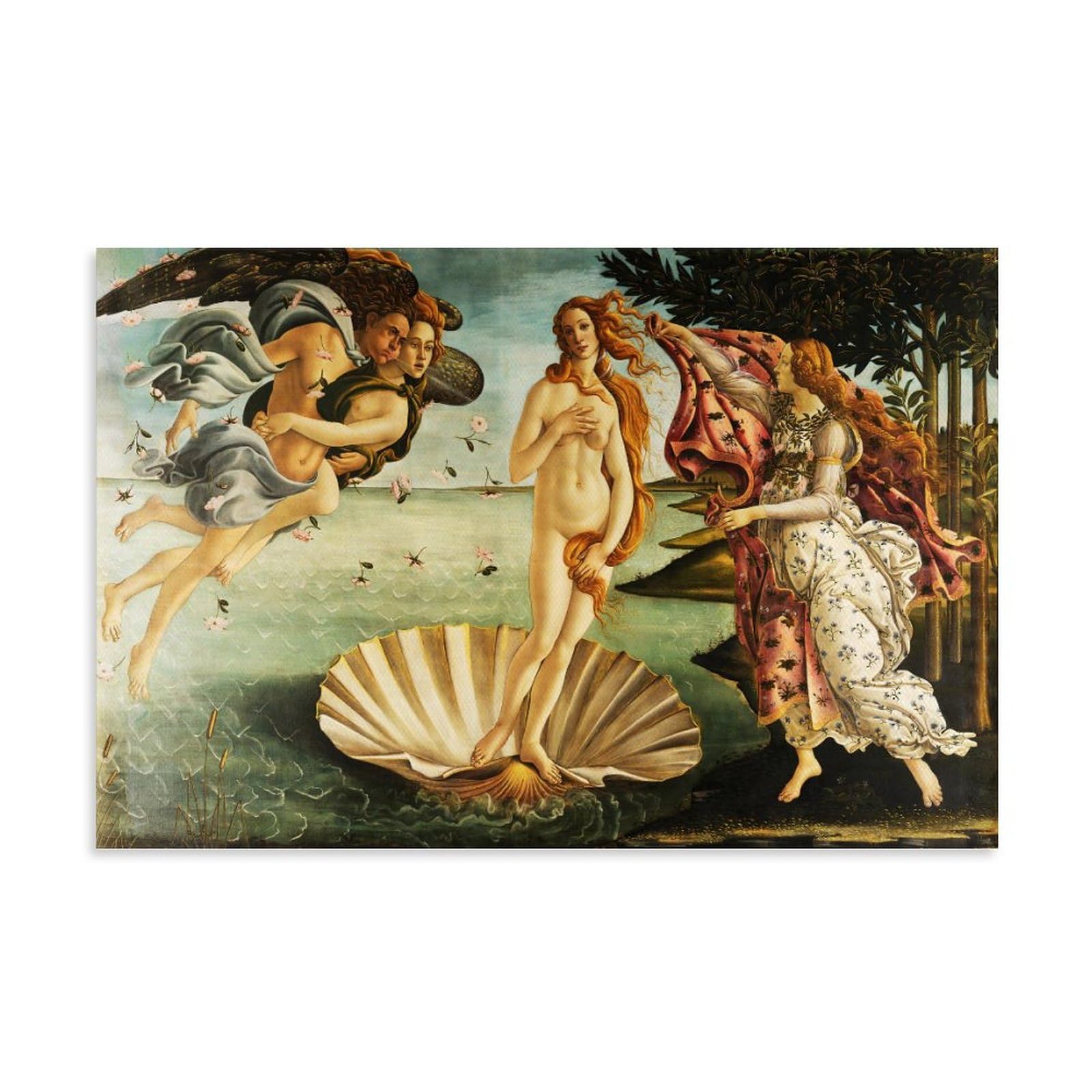Cambos Unframe-Style Sandro Botticelli Painters' Works（The Birth Of Venus）Printing Posters Painting On Canvas Wall Art Scroll Picture Print Living Room Walls Decor Homes 16X24inch(40X60cm)