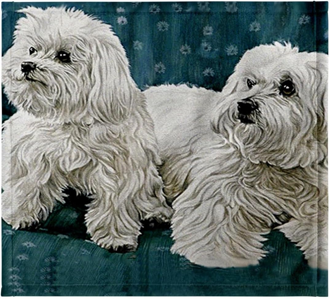 3dRose Two Maltese 22x30 Bath Hand Pool Towel