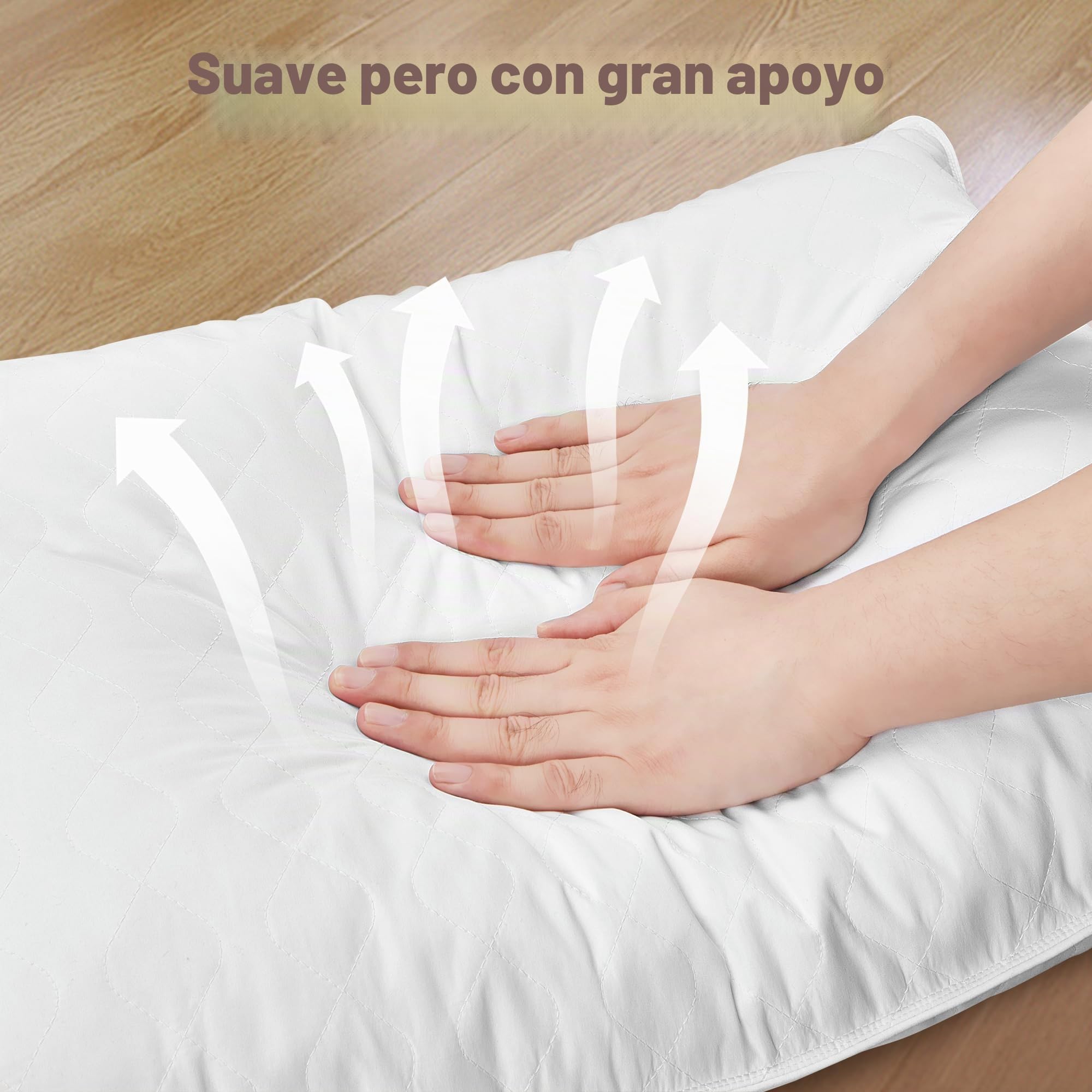 Deodar Almohada de Pluma 50x70, Almohada de Lujo para Dormir de Pluma de Ganso, 100% Algodón Orgánico Funda, Lavable, Certificación Öko-Tex y RDS, 2 Piezas