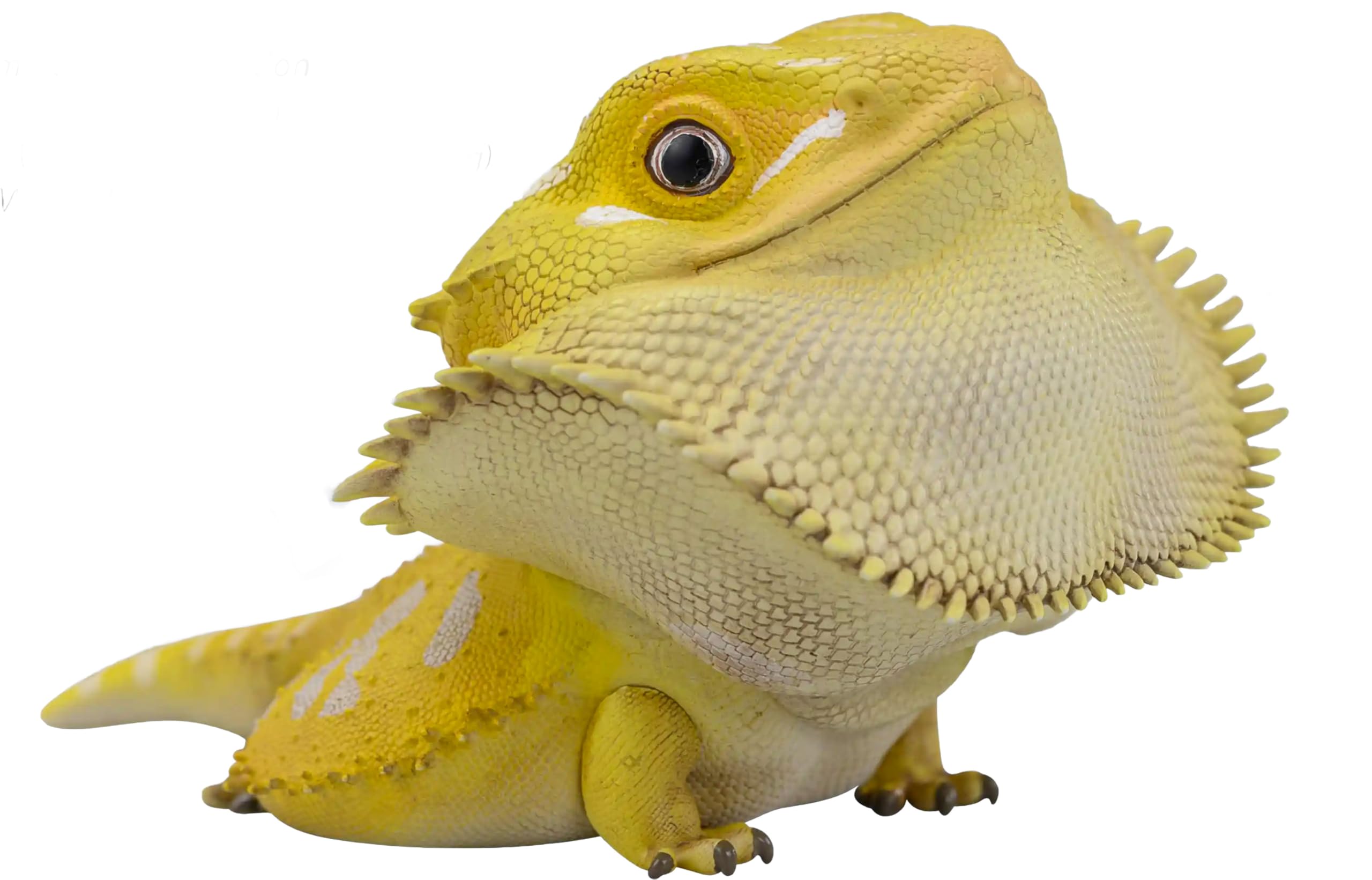 フトアゴヒゲトカゲ 爬虫類 ソフビフィギュア オレンジ・イエローオマケ付 フトアゴヒゲトカゲ 爬虫類 ソフビフィギュア オレンジ