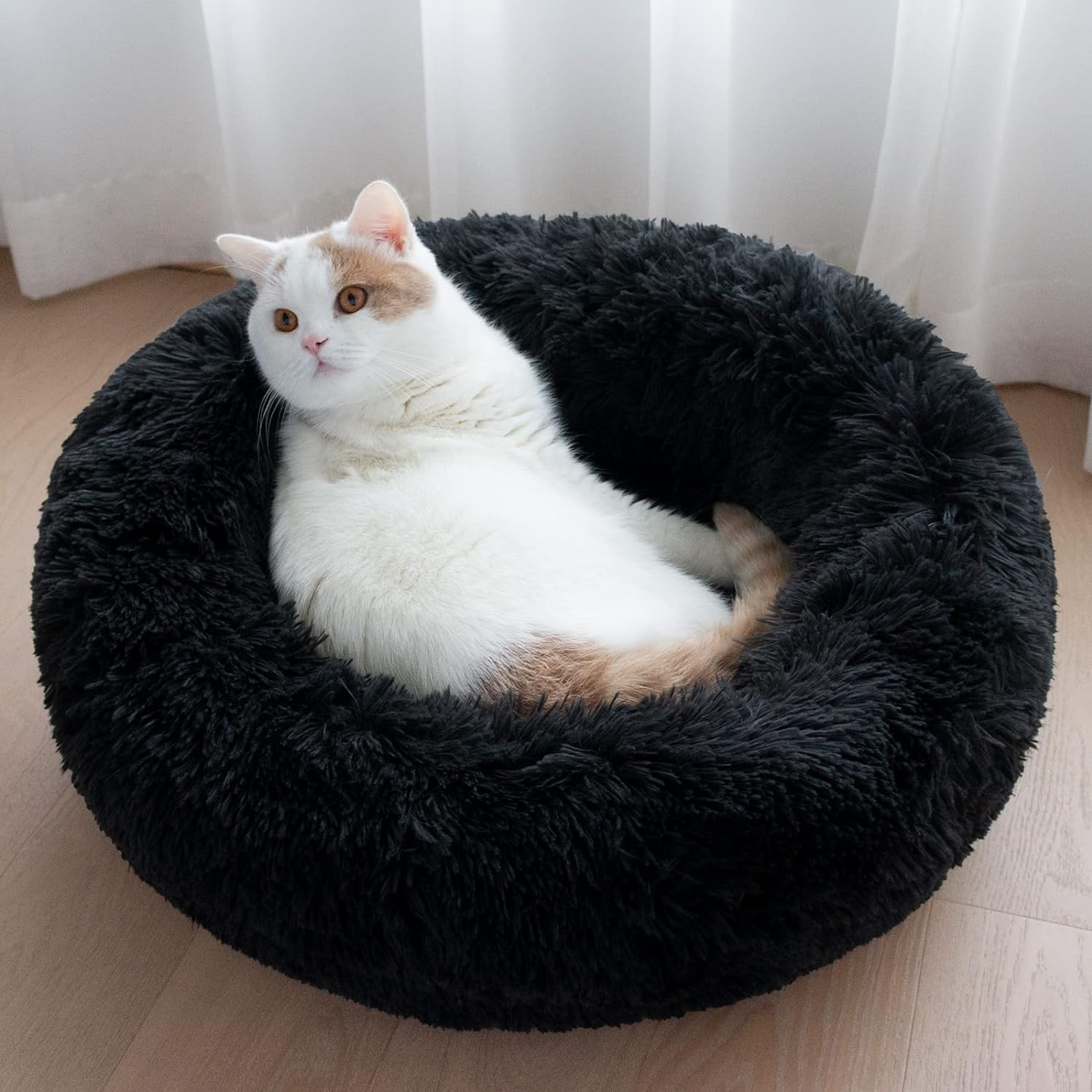 AMICA Cozy Comfortable Dog Bed Washable and Soft Mattress of Dog Bed for All Season Summer Winter pet Bed (Black, L) (B0DFMPQZLG) Amazon Price History, Amazon Price Tracker