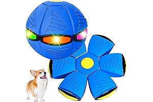 Pet Toy Flying Saucer Ball - Blue