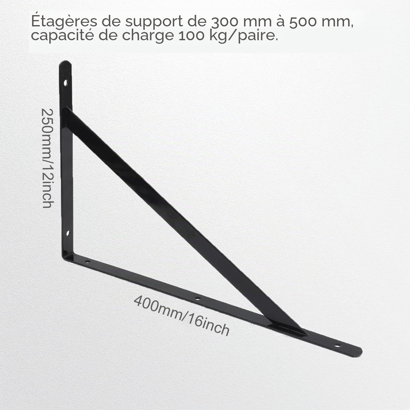 Lot de 12 équerres pour charges lourdes - 250 x 400 mm - Console pour charges lourdes - Avec vis - Support mural - Charge maximale : 100 kg - Support d'étagère - Montage mural (12 pièces)