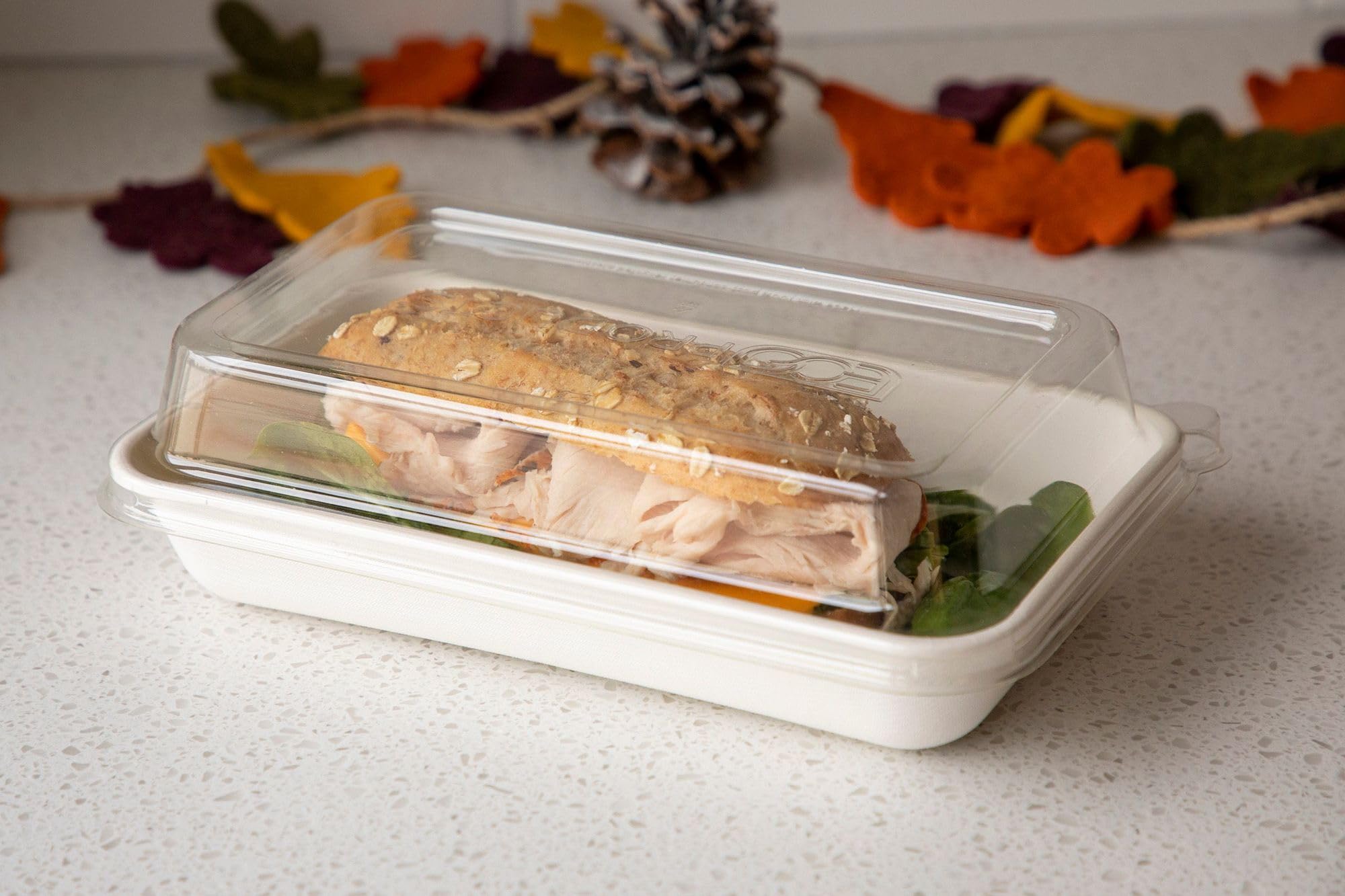 Eco-Products Vanguard WorldView - Contenedores compostables de comida para llevar de caña de azúcar, sin PFAS añadidos, 10 x 7 pulgadas, color blanco, caja de 200
