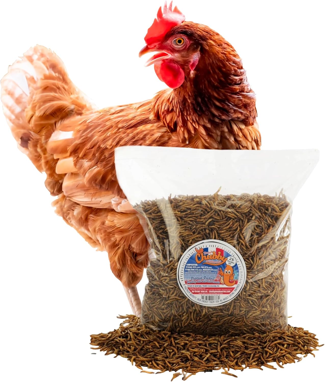Chubby Dried Mealworms | 24 lbs | Premium EU-Grown Non-GMO Protein Treats for Chickens, Ducks, Wild Birds & Reptiles – High-Protein Chicken Feed Snack for Laying Hens