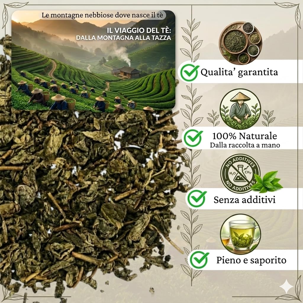 Beebunch Tè Verde Gunpowder 1kg – Tè Verde Sfuso Cinese 100% Naturale – Foglie di Tè Premium Ricche di Antiossidanti – Ideale per Energia, Metabolismo e Benessere (1 kg)