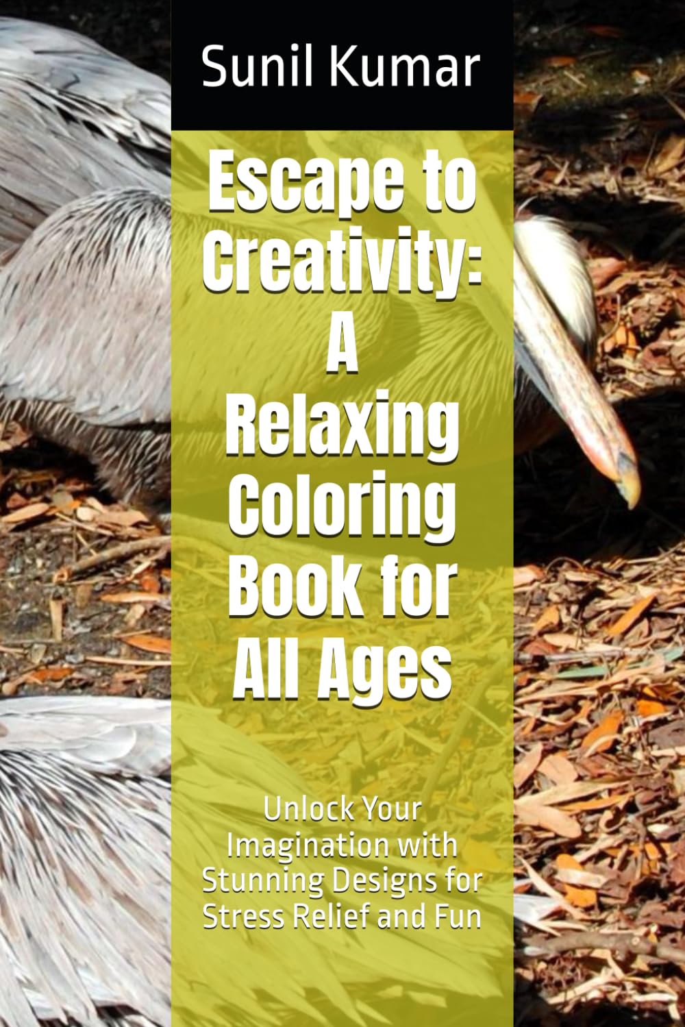 Escape to Creativity: A Relaxing Coloring Book for All Ages: Unlock Your Imagination with Stunning Designs for Stress Relief and Fun