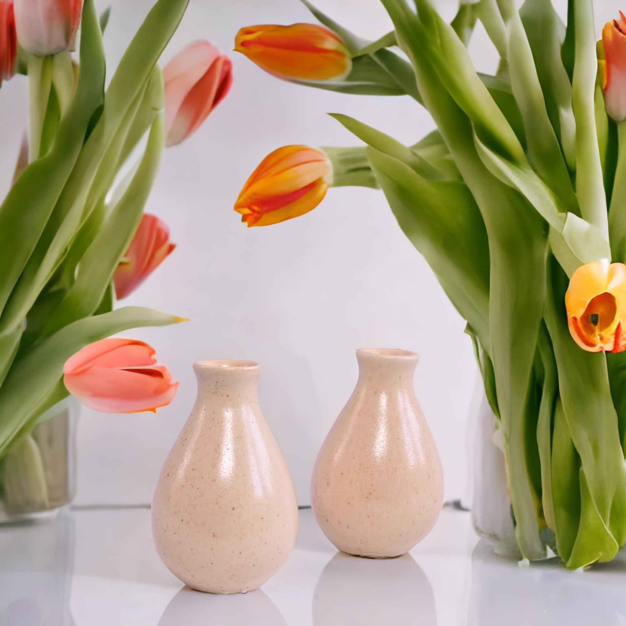 Globe decor, Beige Ceramic Small Vases for Home Decor 2 Pieces Center Table Bedroom Living Room Flower Vases for Home Décor Home Decorative Flower Vase Cream vases (B0CFFNC1QS) Amazon Price History, Amazon Price Tracker