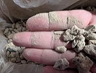 Review Image by Bryson S. Bryson S.